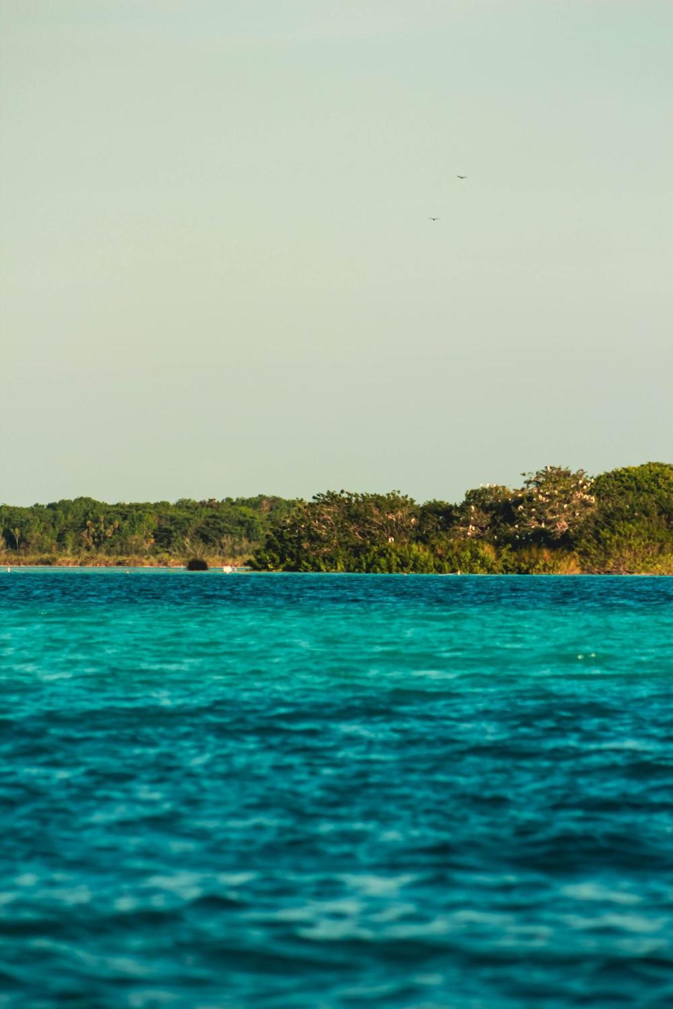 Tortuga Bacalar Panzió Kültér fotó